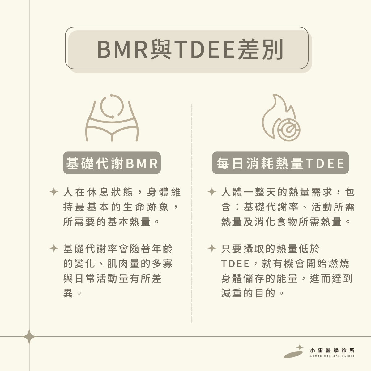 BMR與TDEE差異